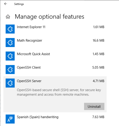 Captura de las opciones SSH en Windows 10.
